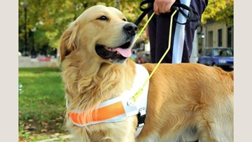 Coppice Court welcomes furry friend